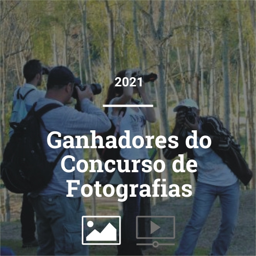 Ganhadores do Concurso de Fotos