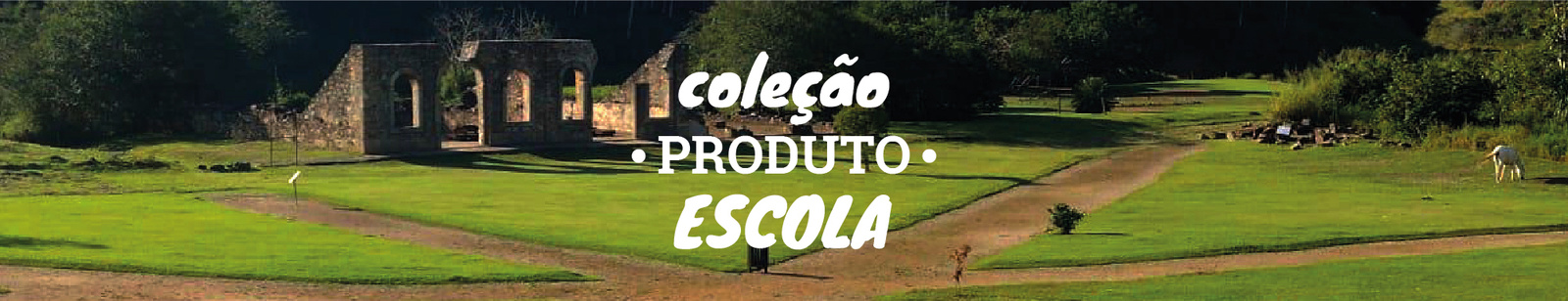 Coleção Produto Escola