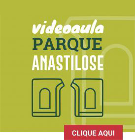 Botão VIDEOAULA PARQUE ANASTILOSE