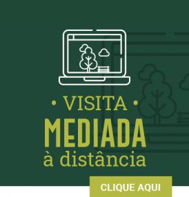 Botão VISITA MEDIADA A DISTÂNCIA