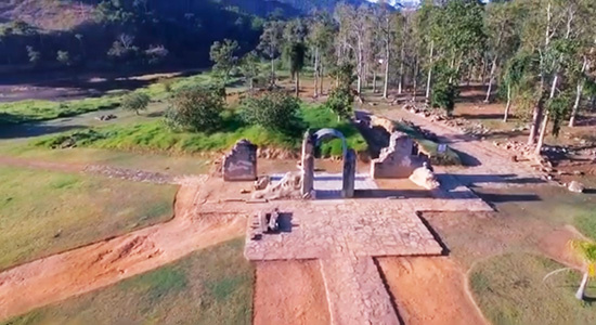 Newsletter Celebre Conosco 20250407 Saúde combina com arte e natureza - ARTISTAS DO PARQUE